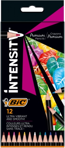 BIC Coloring pencils Intensity 12 colours 951844