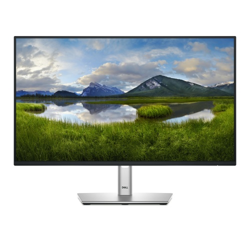 Dell P Series P2425H Monitor 24'' IPS FHD 1920x1080, 8 ms, 250 cd/m2, 100 Hz, Silver/Black