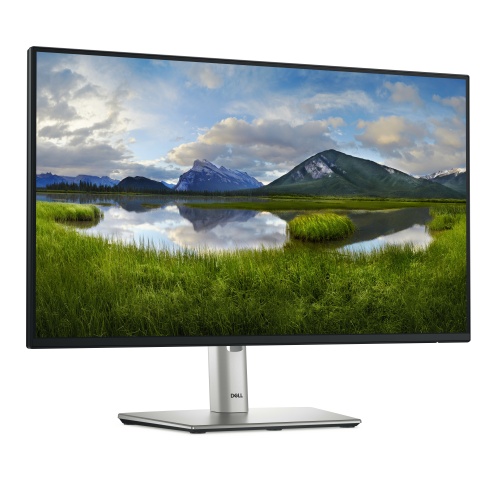 Dell P Series P2425H Monitor 24'' IPS FHD 1920x1080, 8 ms, 250 cd/m2, 100 Hz, Silver/Black