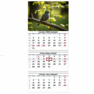 Wall Mounted Calendar 3 parts Trio 30x66cm.