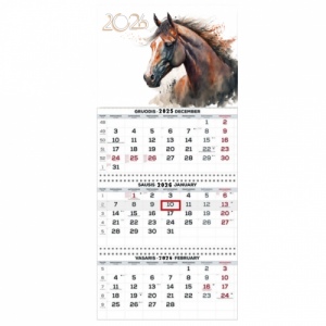Wall Mounted Calendar 3 parts Trio 30x66cm