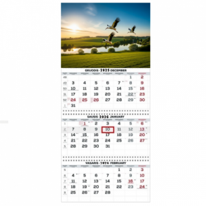 Wall Mounted Calendar 3 parts Trio 30x66cm