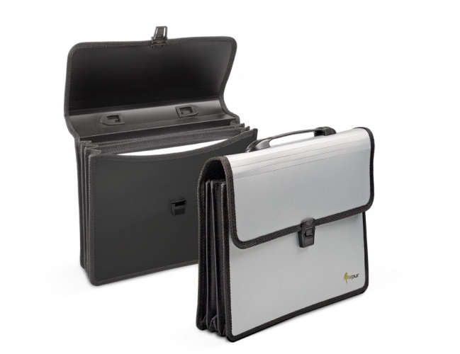 Folder-portfolio Forpus, A4, silver, 3 compartments