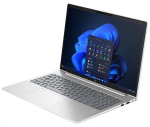 HP ProBook 4 G1a BM2S8UT 16'' WUXGA AMD Ryzen 5 230 16GB 256GB SSD W11P, Pike Silver