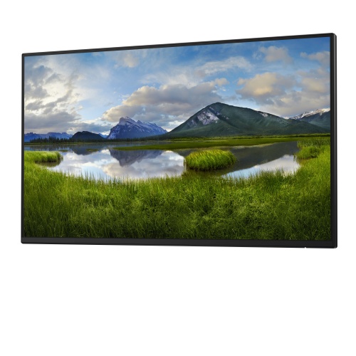 Dell Pro 24 Plus P2425HE Monitor 23.8'' IPS FHD 1920x1080 8 ms 250 cd/m2 100 Hz (No stand), Black
