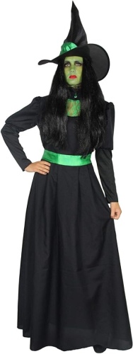 Ecost Customer Return Foxxeo Black Green Witch Costume with Witch Hat for Women – Size M–4XL – Fancy