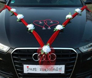Ecost Customer Return, Organza M + Hearts ® Car Jewellery (Pure White/Red/Red)