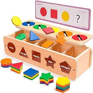 Ecost Customer Return Lamlingo Montessori Sorting Game Toy with Storage Box