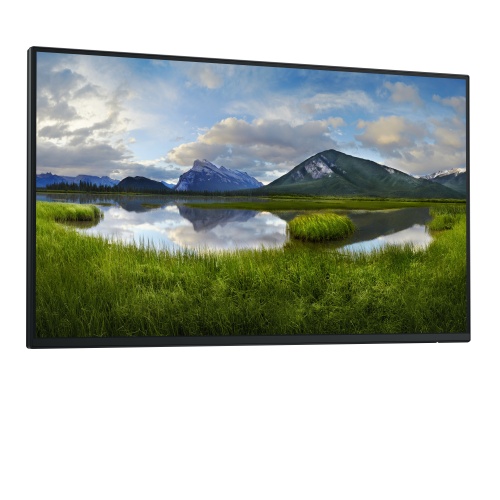 Dell Pro 24 Plus P2425HE Monitor 23.8'' IPS FHD 1920x1080 8 ms 250 cd/m2 100 Hz (No stand), Black