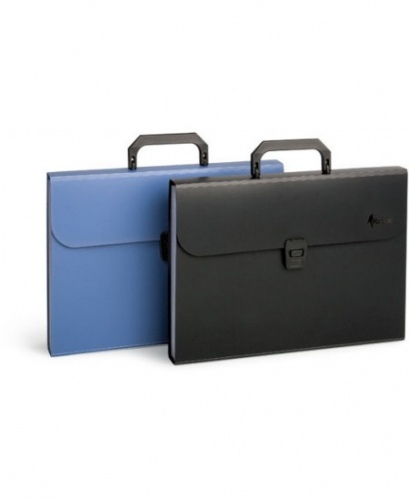 Folder-portfolio, file folder Forpus, A4, black, 12 + 1 compartments 0822-005