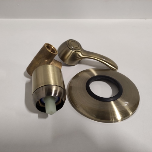 Ecost customer return Idro Bric J42134 Mix (Old Brass BuiltIn Shower Series