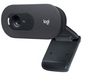 Logitech C505e HD Business Webcam, Graphite