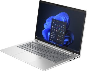 HP ProBook 445 G11 Laptop 14'' WUXGA Ryzen 5 7535U 16GB 512GB SSD W11P, Pike silver