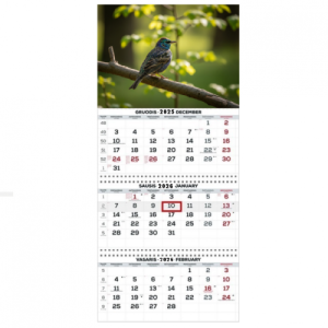 Wall Mounted Calendar 3 parts Trio 30x66cm.